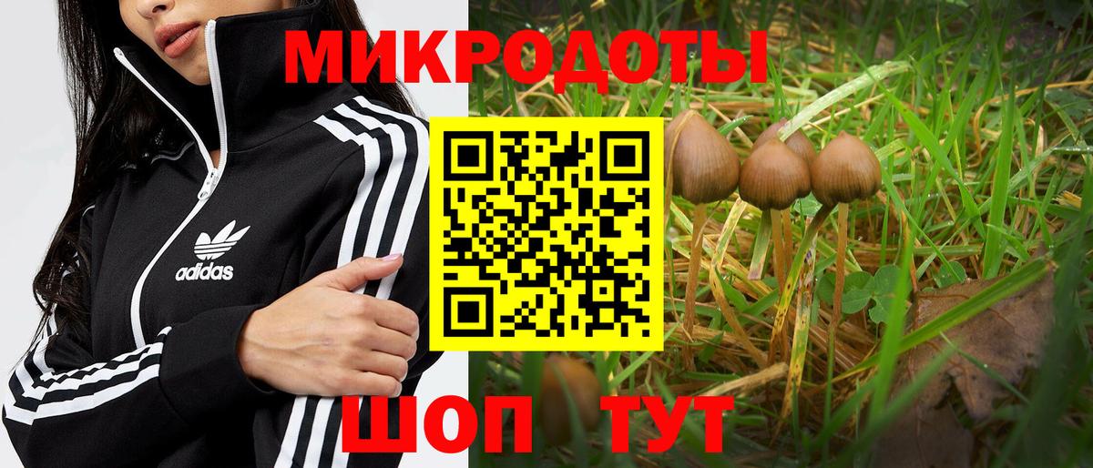 Псилоцибиновые грибы Psilocybine cubensis  купить  сайты  Глазов  Вход с VPN 